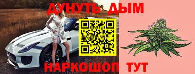 индика Обь