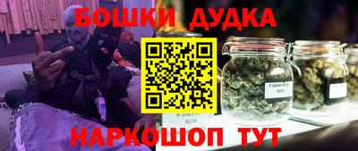индика Обь