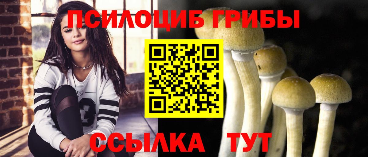 Псилоцибиновые грибы прущие грибы Тверь